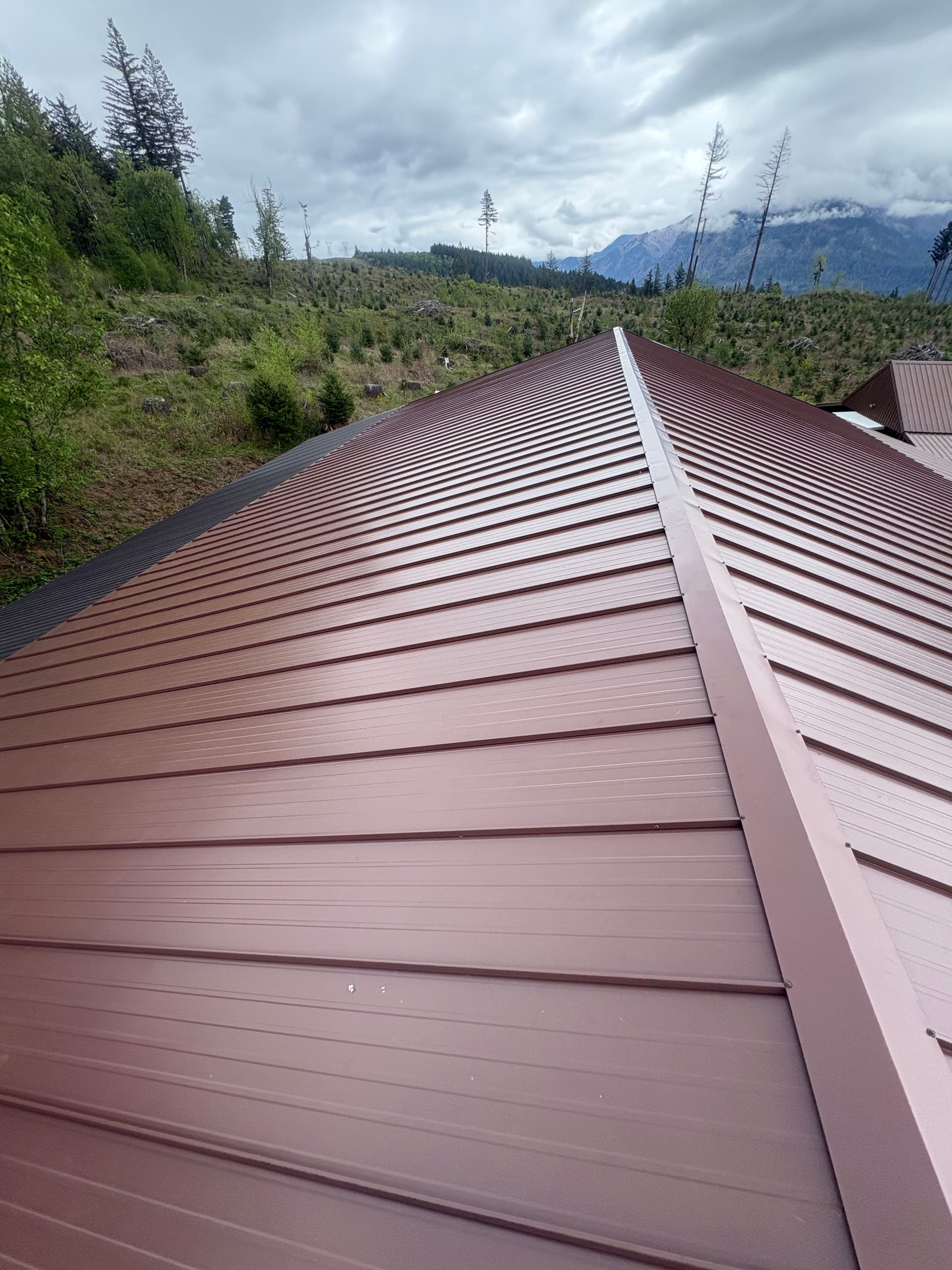 Gallery photos for Brown Metal roof replacement in stevenson washington: Image #4