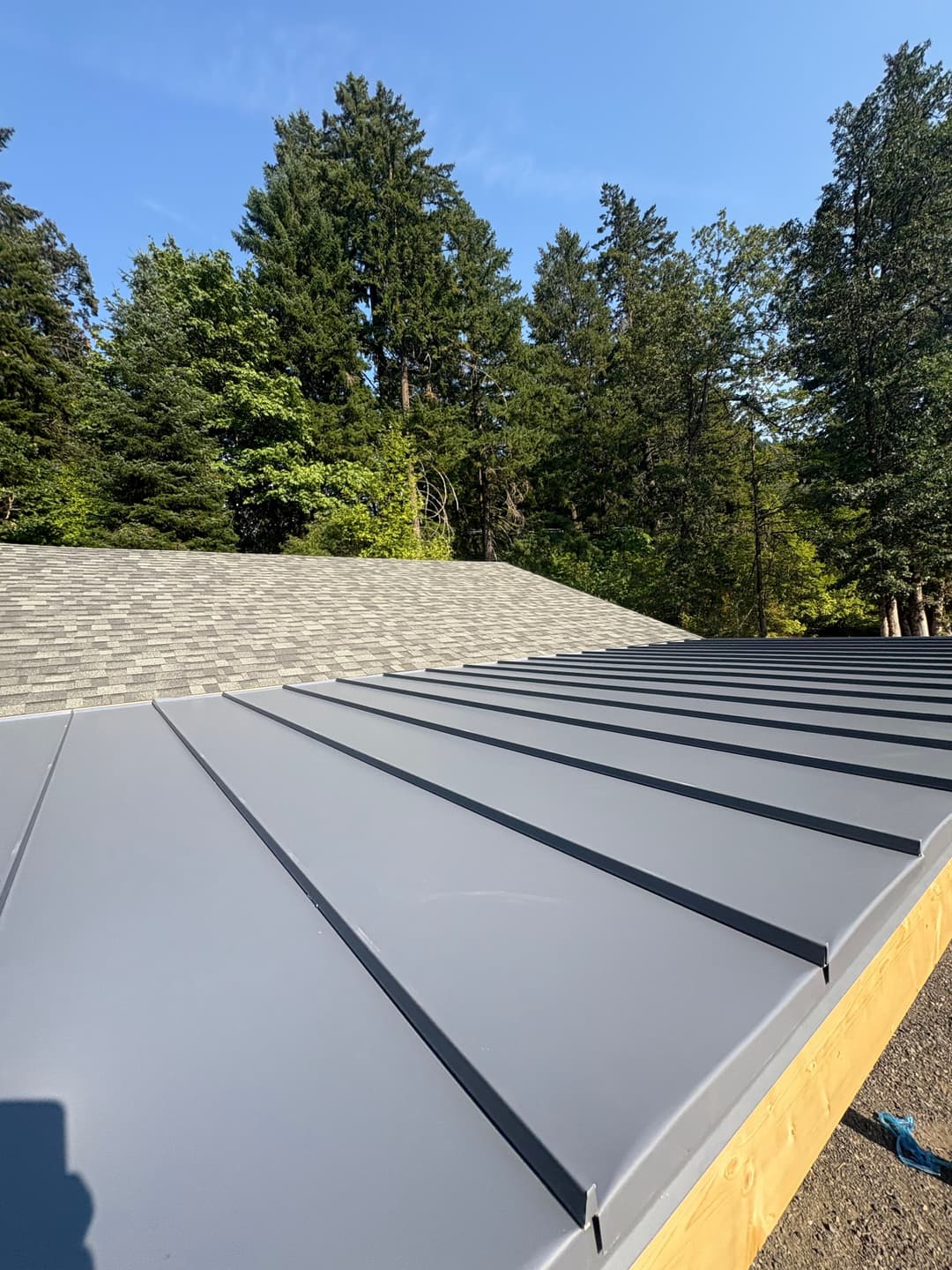 Metal roof installation with standing seam design surrounded by trees under a clear blue sky.