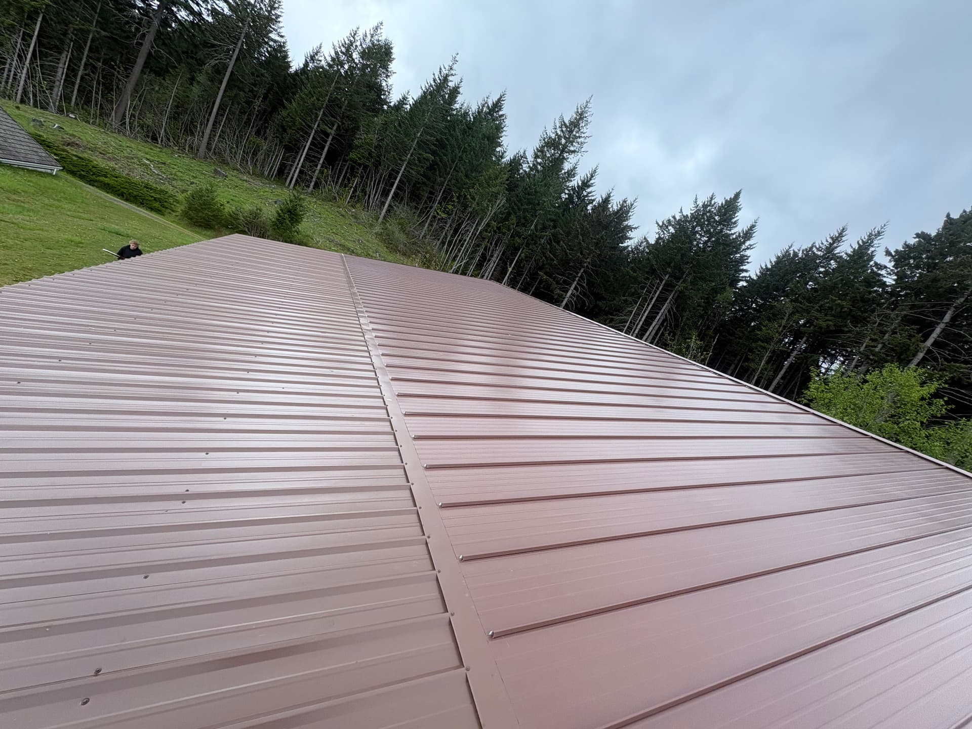 Gallery photos for Brown Metal roof replacement in stevenson washington: Image #1