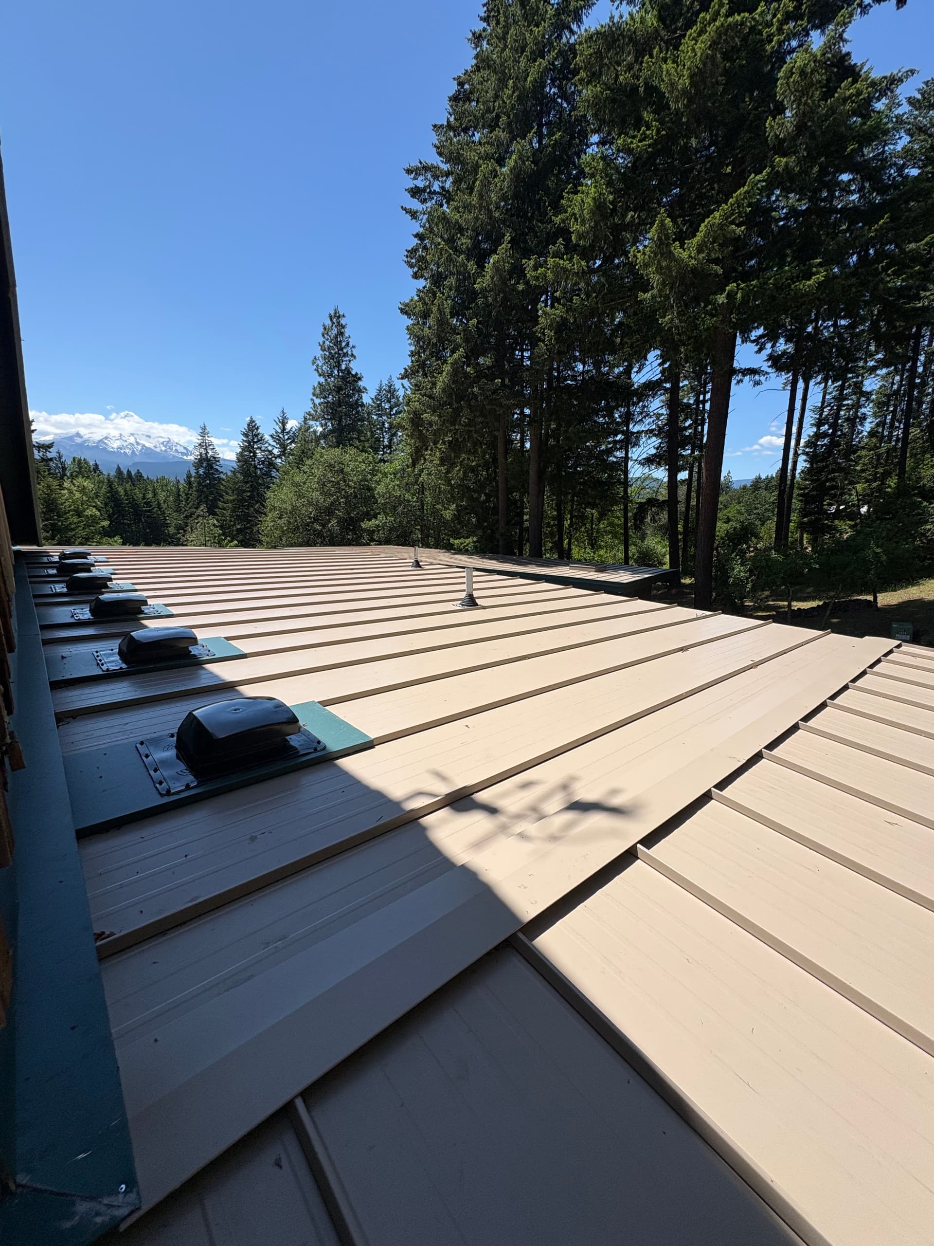 Fire-Resistant Metal Roofing Installation in Parkdale Oregon