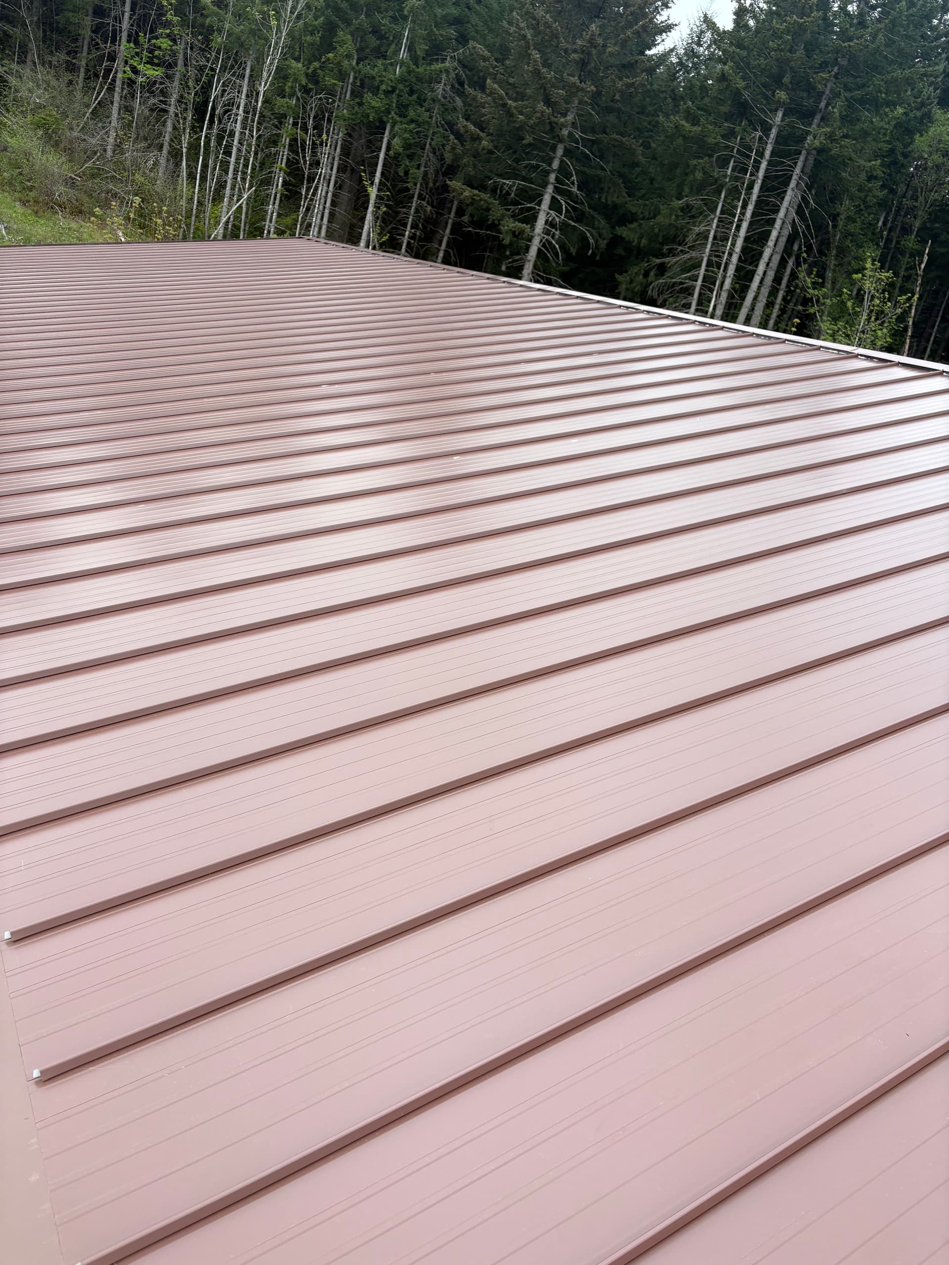 Gallery photos for Brown Metal roof replacement in stevenson washington: Image #5